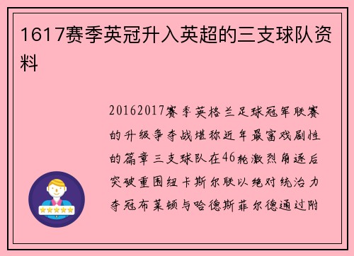1617赛季英冠升入英超的三支球队资料